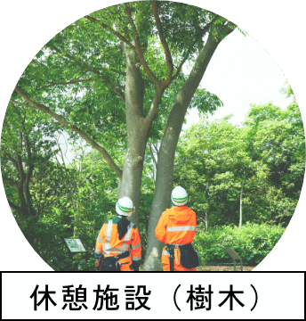 休憩施設（樹木）